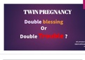 Twin pregnancy