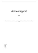 Beroepsproduct K1 adviesrapport