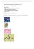 Mycologie, parasitologie en virologie