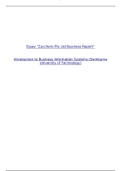 INF10003 Zucchero Pty Ltd Business Report