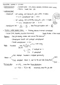 Bellman Equation Notes