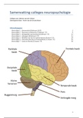 Samenvatting hoorcolleges Neuropsychologie voor Pedagogen
