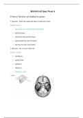 BIO1011 AP Quiz Week 4 / BIO 1011 Week 4 Quiz: Anatomy and Physiology: South University (Already graded A) 
