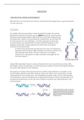Biochemie - 7 DNA replicatie