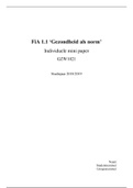 FiA 1.1 Individuele mini paper 
