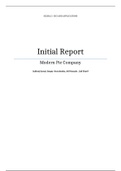 Initial Report for Modern Pie Company website