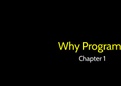 Why program