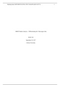 Busi 520 - MMGP Market Analysis – Volkswagen Jetta Segments.docx