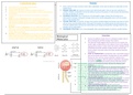Biological molecule A-Level Revision notes
