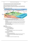 The Carbon Cycle and Energy Security EQ1