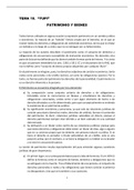 Tema 10 Derecho Civil I