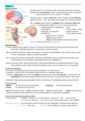 Neurobiologie (Minor BmW/GN and Pre-master BMS/MPS) - WLB07086