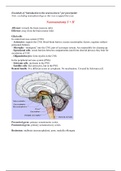 Summary of the powerpoints of Introduction to Neurosciences