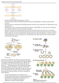Samenvatting Moleculaire Biologie 1