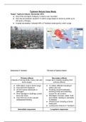 Typhoon Haiyan Case Study
