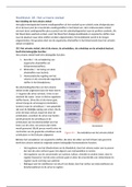 Anatomie en fysiologie: H18 Het urinaire stelsel (18.1 t/m 18.6)