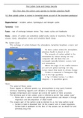 Carbon and Water Cycle notes