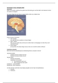 samenvatting neurologie (thema stress en veerkracht PMT)