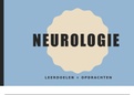 OG 5 Neurologie