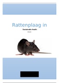 Analyse/onderzoek voorbeeld zorgbeleid/Sustainable health - Onderzoek Rattenplaag NYC