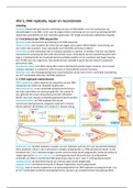 H5, DNA replicatie, repair en recombinatie