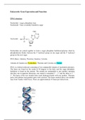Lecture summary notes on DNA, RNA and Gene Expression