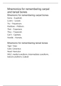 Mnemonics for remembering carpal and tarsal bones.
