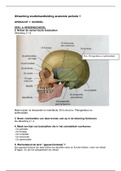 Uitwerking ZSO Anatomie mondzorgkunde propedeuse periode 1