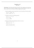 MATH1850 - Single Variable Calculus 1 - BUNDLE Worksheets(updated)