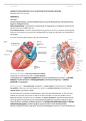 Samenvatting Anatomie en fysiologie, Martini. Globale samenvatting van hoofdstuk 12 en 13