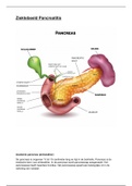 Pancreatitis ziektebeeld (maag/darm/lever)