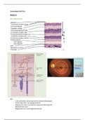 Klinische Optometrie 2.1 Samenvatting