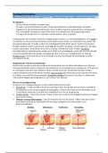 Samenvatting Voeding/Dieetleer Blok 3.1 (DAW)