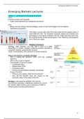 Emerging Markets Summary Lectures