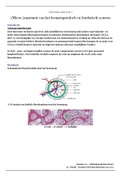Samenvatting Oncologie Blok 2