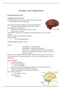 biopsychosociaal: neuroanatomie hersenen, lymbisch systeem