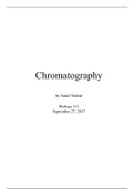 Chromatography Lab Report