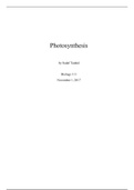 Photosynthesis Lab Report