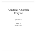 Amylase: A Sample Enzyme Lab Report