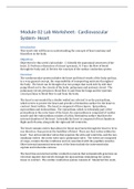 Rasmussen College - BSC 2347 > Module_02_Lab_Worksheet Updated, Already Graded A.