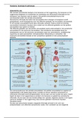 KTF 4 AFP zenuwstelsel, hersenen, ruggenmerg en medicijnen