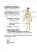 Anatomie & fysiologie lymfestelsel (HBO)