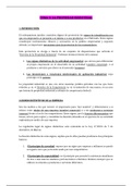 Derecho Mercantil TEMA 3