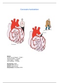 Intervention mapping verslag coronaire hartziekten cijfer 7,3