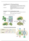 Functionele biologie deeltentamen 2: Planten 