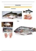 VVG I - foto's vissoorten