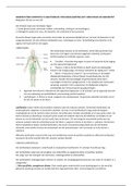 Samenvatting Anatomie en fysiologie, Martini. Globale samenvatting van hoofdstuk 14