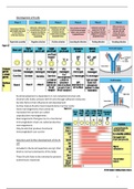 Infection and immunity notes