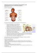 Samenvatting Anatomie en fysiologie, Martini. Globale samenvatting van hoofdstuk 16 en (deels) 17