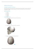 Summary of the External and Inernal features of the Skull 